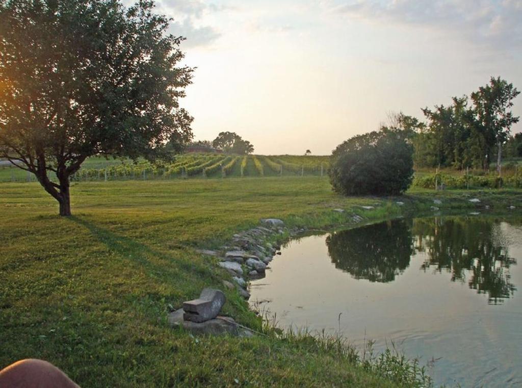 Cote St-Hermas Gite Au Vignoble Mirabel Exterior photo